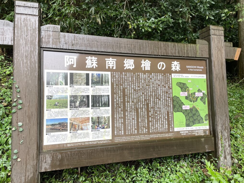 森の中に高くそびえ立つ南郷檜