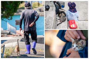 湯島の島民と人懐っこい猫たちの心温まる交流。男性の後をついて歩く猫や、人に抱かれる子猫。