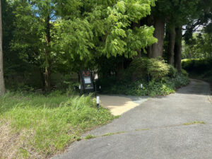 熊本・南阿蘇のドライブで訪れたい隠れ家カフェ。森の中へと続く入り口のアプローチ