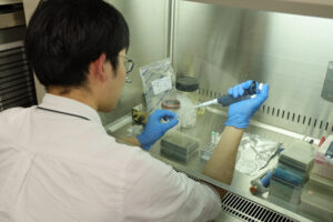 研究室のクリーンベンチ内で、白衣を着た研究者がマイクロピペットを使い、試薬を分注している実験風景。バイオテクノロジーの研究開発や品質管理のイメージ。
