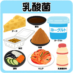 「乳酸菌」をテーマに、乳酸菌が豊富な食べ物や発酵食品を集めたイラスト。チーズ、醤油、ヨーグルト、納豆、味噌、漬物、キムチ、乳酸菌飲料が描かれており、健康や腸活に良い食品が一目でわかるデザイン。
