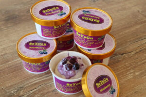 東海大学の研究から生まれた豆乳アイス「SoYoGu」のブルーベリー味。乳酸菌PROBIOを使用しており、カップの中にはブルーベリーの果肉とソースがたっぷり入っている。